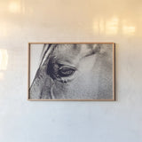 Horse Eye II by Sharon Vardy. shown as a paper print in a natural frame. Available as a archival giclee rolled canvas, fine art paper, or poster print. SKU 91995i.