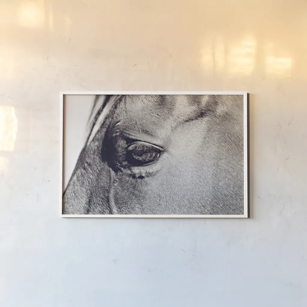 Horse Eye II by Sharon Vardy. shown as a paper print in a white frame. Available as a archival giclee rolled canvas, fine art paper, or poster print. SKU 91995i.