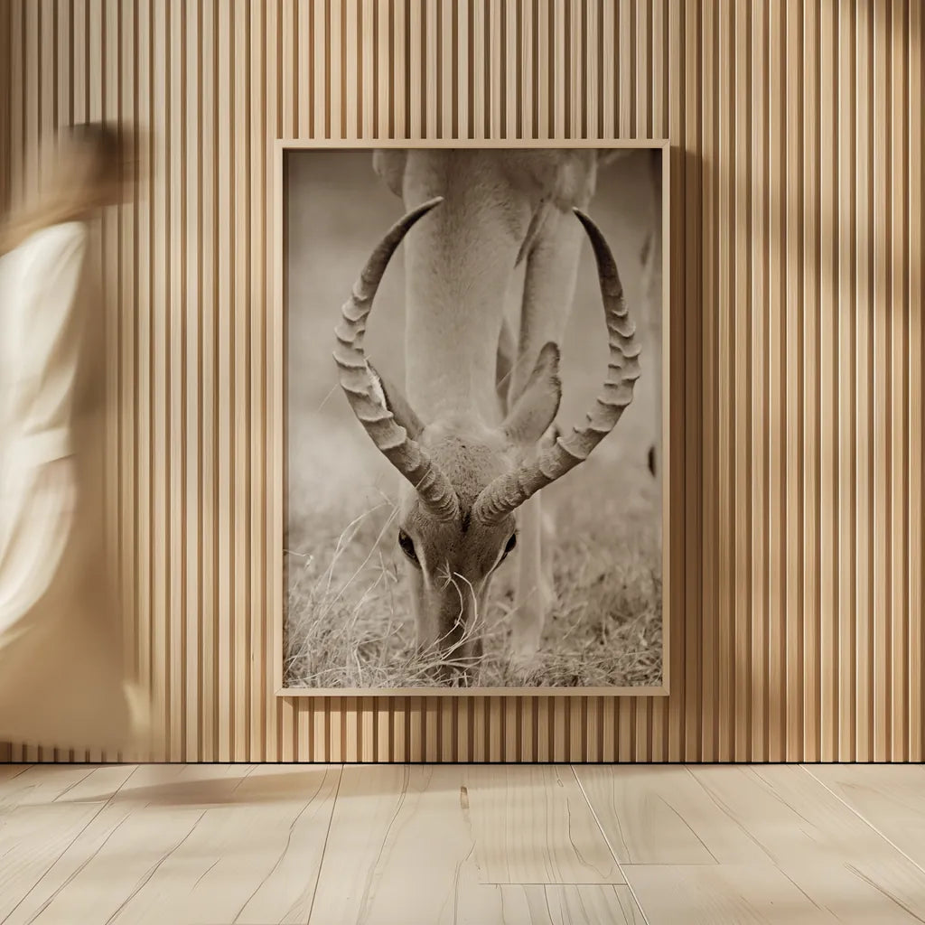 Impala Horns by Sharon Vardy. shown as over sized large wall art. Available as an archival giclee rolled canvas, fine art paper, or poster print. SKU 92675h.
