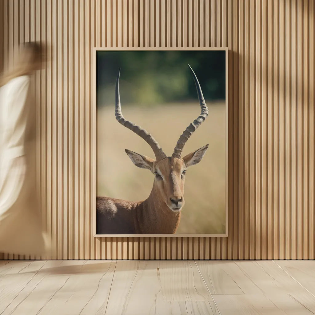 Impala Ram I by Sharon Vardy. shown as over sized large wall art. Available as an archival giclee rolled canvas, fine art paper, or poster print. SKU 93125h.