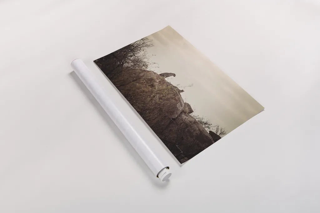 Leopard and Cub by Sharon Vardy. shown as a rolled paper print. Available as archival giclee rolled canvas, fine art paper, or poster print. SKU 92423i.