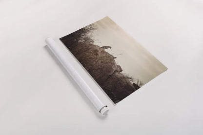 Leopard and Cub by Sharon Vardy. shown as a rolled paper print. Available as archival giclee rolled canvas, fine art paper, or poster print. SKU 92423i.