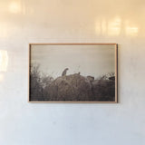 Leopard and Cub by Sharon Vardy. shown as a paper print in a natural frame. Available as a archival giclee rolled canvas, fine art paper, or poster print. SKU 92423i.