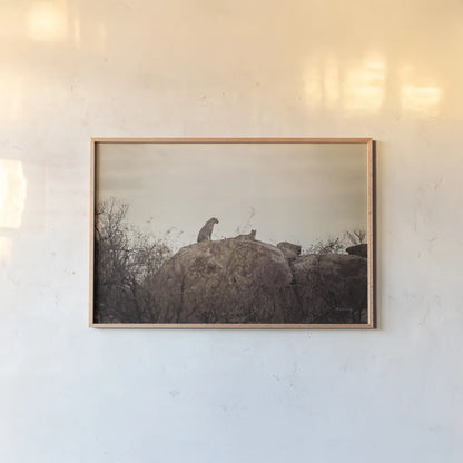 Leopard and Cub by Sharon Vardy. shown as a paper print in a natural frame. Available as a archival giclee rolled canvas, fine art paper, or poster print. SKU 92423i.