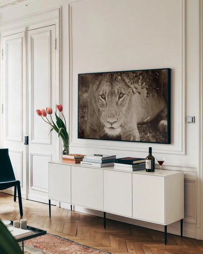Lion Stare by Sharon Vardy. shown as a framed stretched canvas in a living room above a console. Available as a archival giclee rolled canvas, fine art paper, or poster print. SKU 92665i.