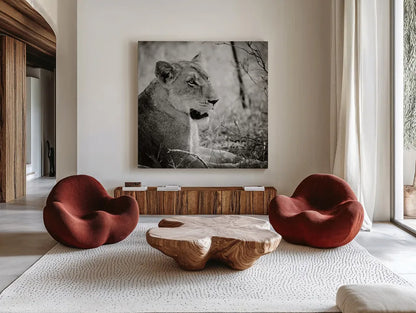 Lioness Square BW by Sharon Vardy. Shown as extra-large giant wall art in a modern living room. Available as an archival giclee rolled canvas, fine art paper, or poster print. SKU 99886a.