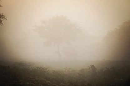 Misty Lions by Sharon Vardy. SKU 92670i. Archival Giclee Fine art print for wall decor.