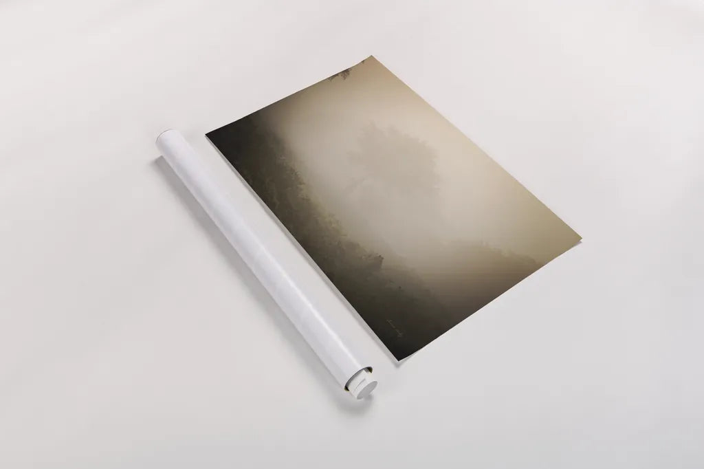 Misty Lions by Sharon Vardy. shown as a rolled paper print. Available as archival giclee rolled canvas, fine art paper, or poster print. SKU 92670i.