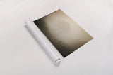 Misty Lions by Sharon Vardy. shown as a rolled paper print. Available as archival giclee rolled canvas, fine art paper, or poster print. SKU 92670i.
