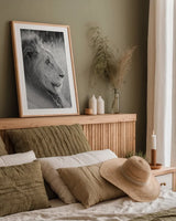Old Lion BW by Sharon Vardy. shown as a paper print in a natural frame. Available as a archival giclee rolled canvas, fine art paper, or poster print. SKU 92425h.