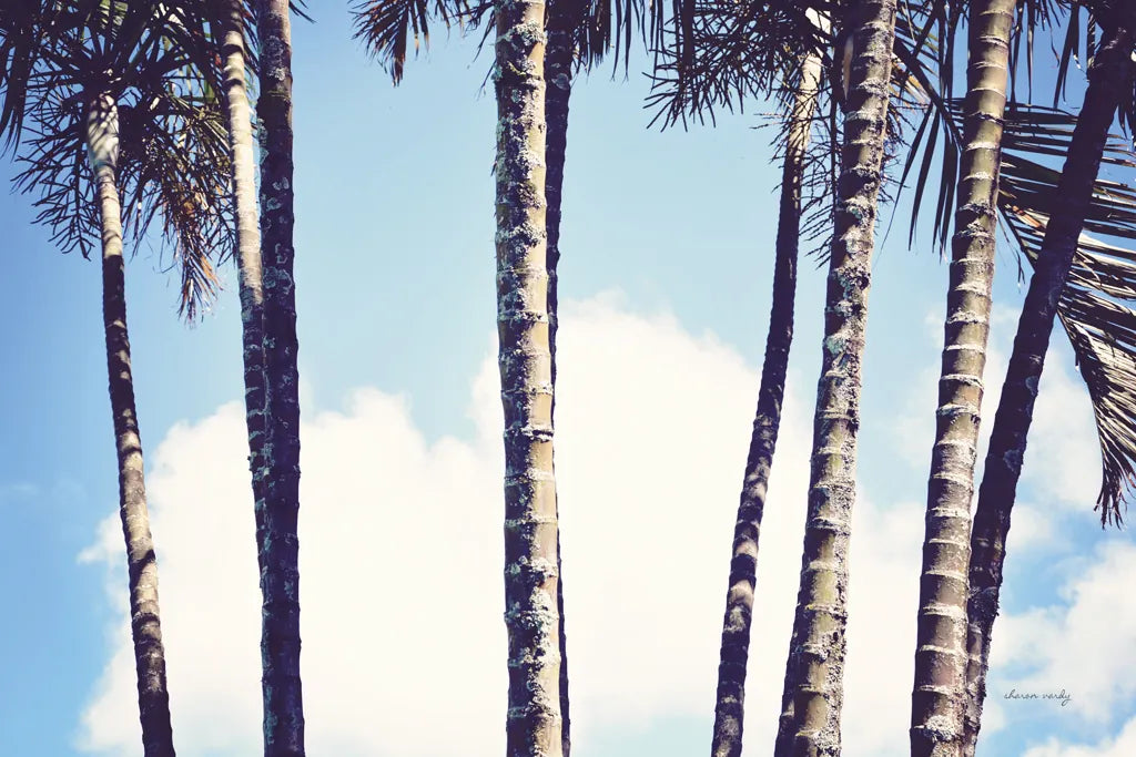 Palms by Sharon Vardy. SKU 93120i. Archival Giclee Fine art print for wall decor.