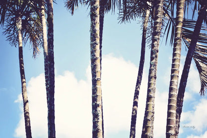 Palms by Sharon Vardy. SKU 93120i. Archival Giclee Fine art print for wall decor.