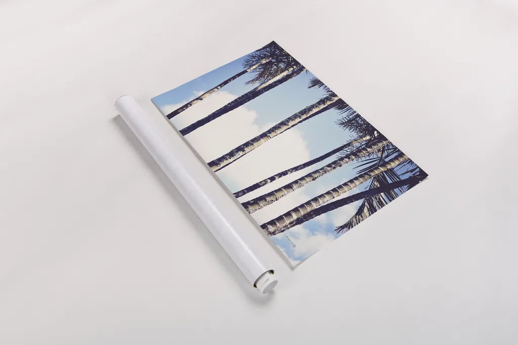 Palms by Sharon Vardy. shown as a rolled paper print. Available as archival giclee rolled canvas, fine art paper, or poster print. SKU 93120i.