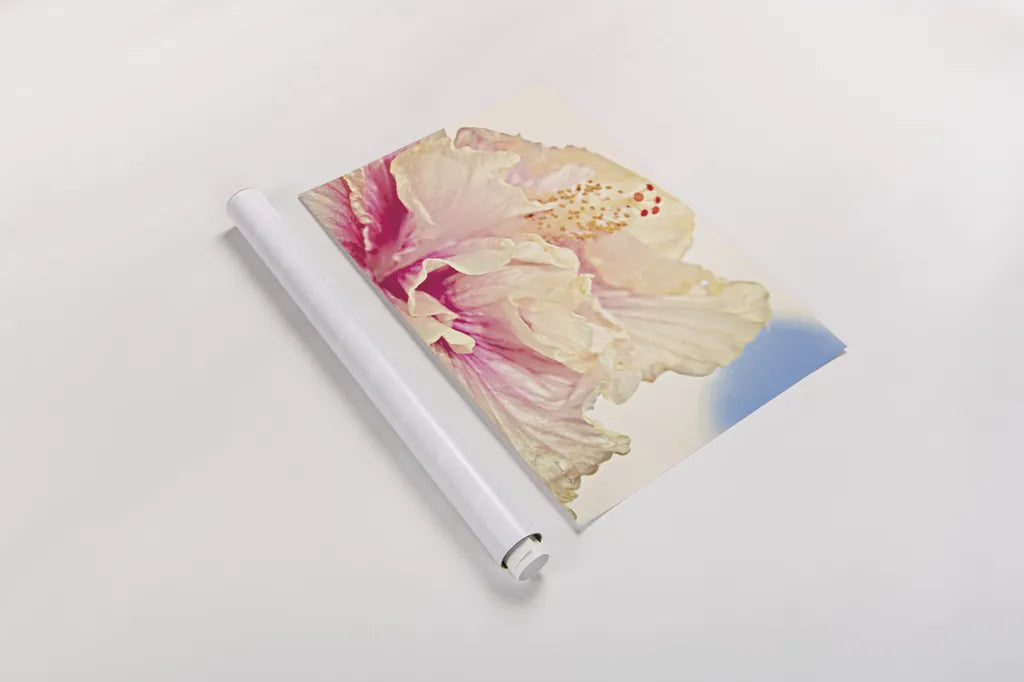 Pink Hibiscus by Sharon Vardy. shown as a rolled paper print. Available as archival giclee rolled canvas, fine art paper, or poster print. SKU 93128i.