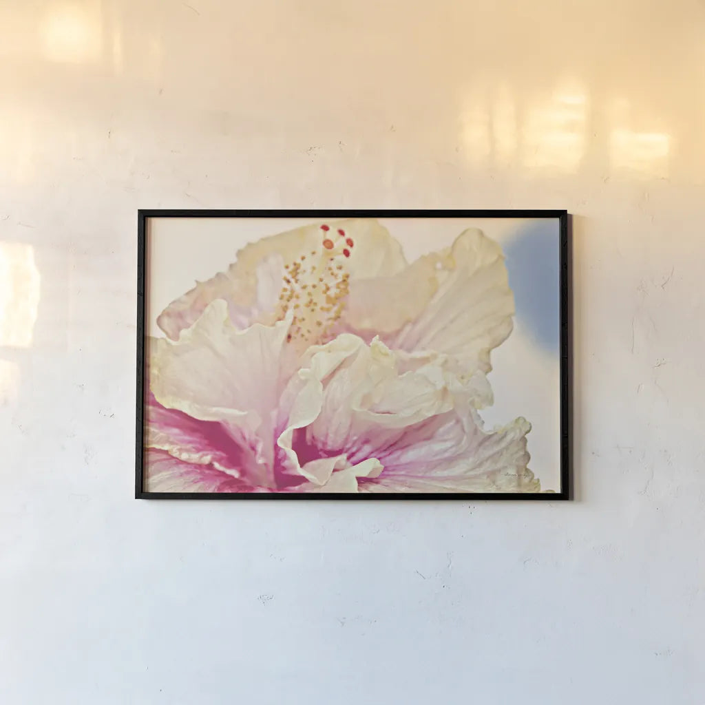 Pink Hibiscus by Sharon Vardy. shown as a paper print in a black flame. Available as a archival giclee rolled canvas, fine art paper, or poster print. SKU 93128i.