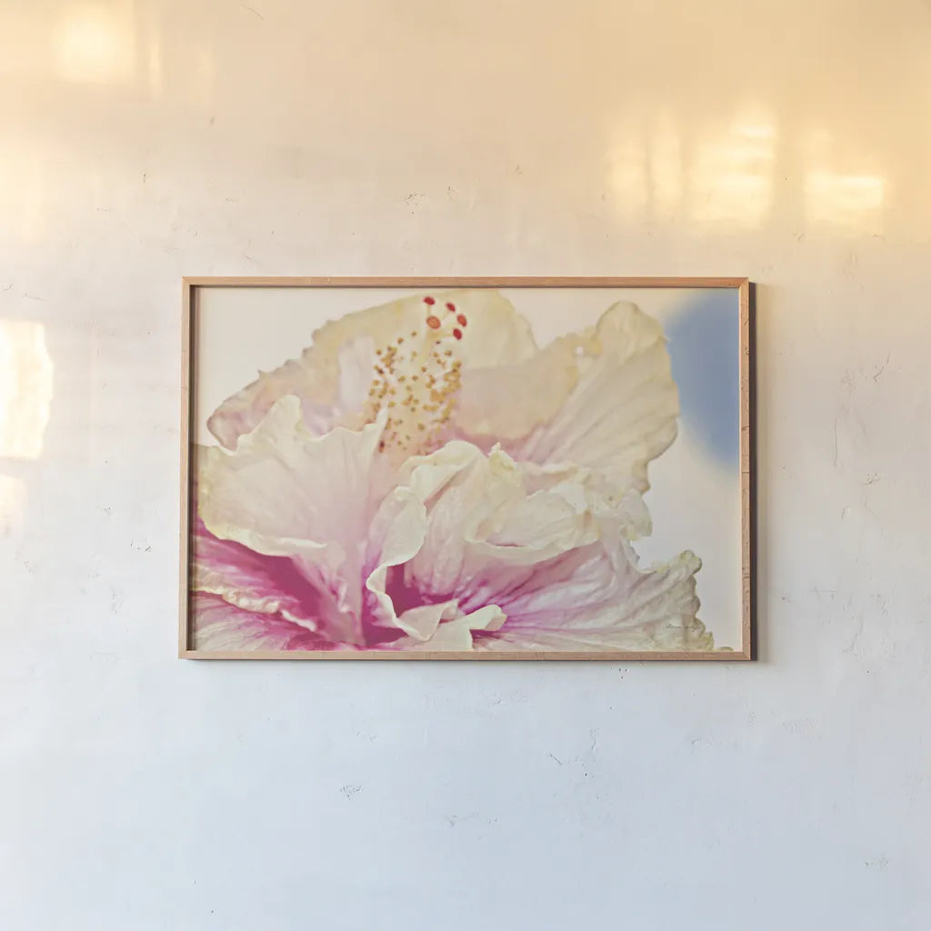 Pink Hibiscus by Sharon Vardy. shown as a paper print in a natural frame. Available as a archival giclee rolled canvas, fine art paper, or poster print. SKU 93128i.