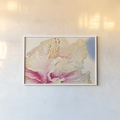 Pink Hibiscus by Sharon Vardy. shown as a paper print in a white frame. Available as a archival giclee rolled canvas, fine art paper, or poster print. SKU 93128i.