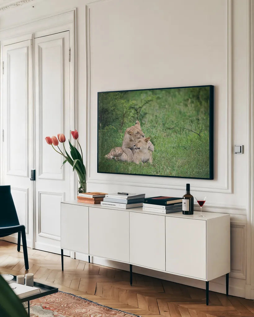 Playful Lions by Sharon Vardy. shown as a framed stretched canvas in a living room above a console. Available as a archival giclee rolled canvas, fine art paper, or poster print. SKU 91991i.