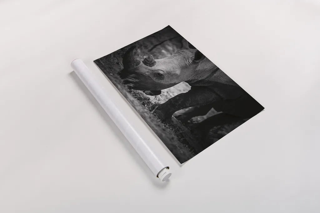 Rhino by Sharon Vardy. shown as a rolled paper print. Available as archival giclee rolled canvas, fine art paper, or poster print. SKU 92260i.