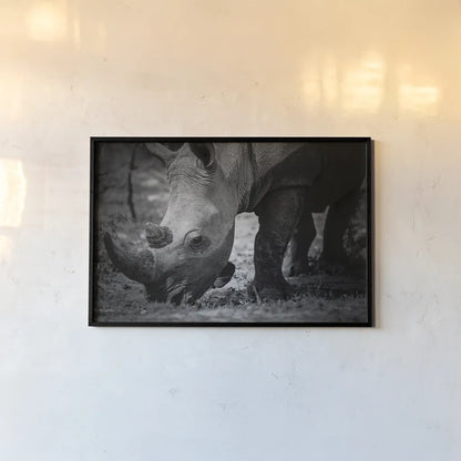 Rhino by Sharon Vardy. shown as a paper print in a black flame. Available as a archival giclee rolled canvas, fine art paper, or poster print. SKU 92260i.