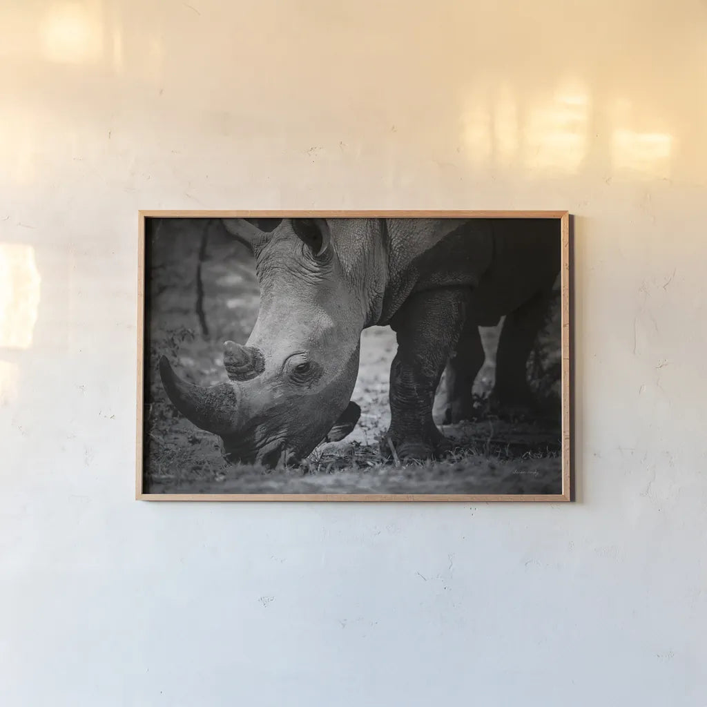 Rhino by Sharon Vardy. shown as a paper print in a natural frame. Available as a archival giclee rolled canvas, fine art paper, or poster print. SKU 92260i.