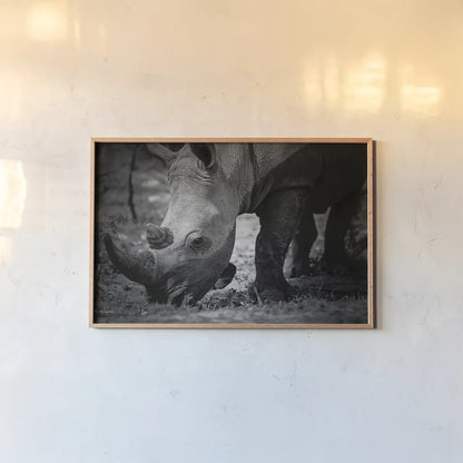 Rhino by Sharon Vardy. shown as a paper print in a natural frame. Available as a archival giclee rolled canvas, fine art paper, or poster print. SKU 92260i.