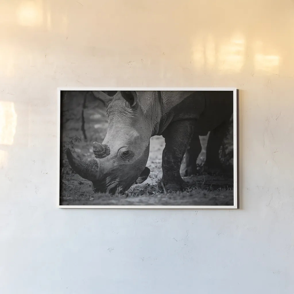 Rhino by Sharon Vardy. shown as a paper print in a white frame. Available as a archival giclee rolled canvas, fine art paper, or poster print. SKU 92260i.