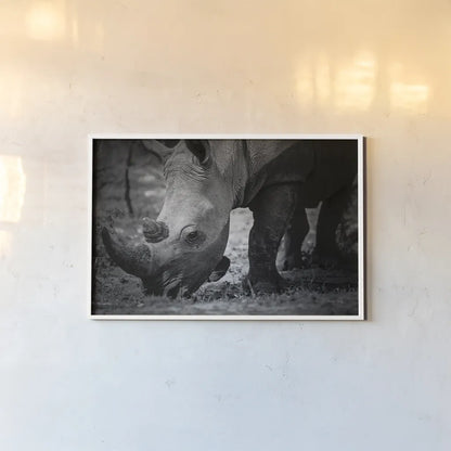 Rhino by Sharon Vardy. shown as a paper print in a white frame. Available as a archival giclee rolled canvas, fine art paper, or poster print. SKU 92260i.