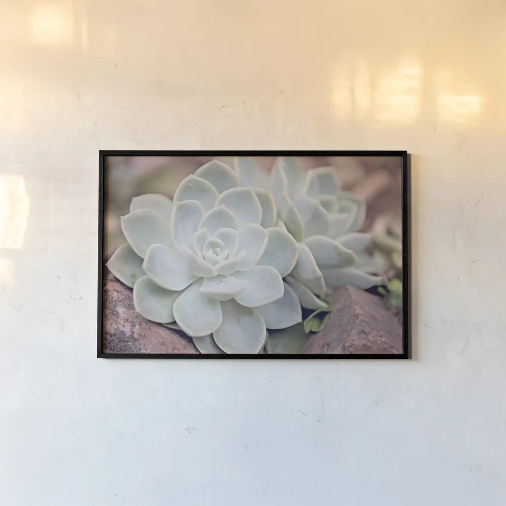 Rock Roses by Sharon Vardy. shown as a paper print in a black flame. Available as a archival giclee rolled canvas, fine art paper, or poster print. SKU 93130i.