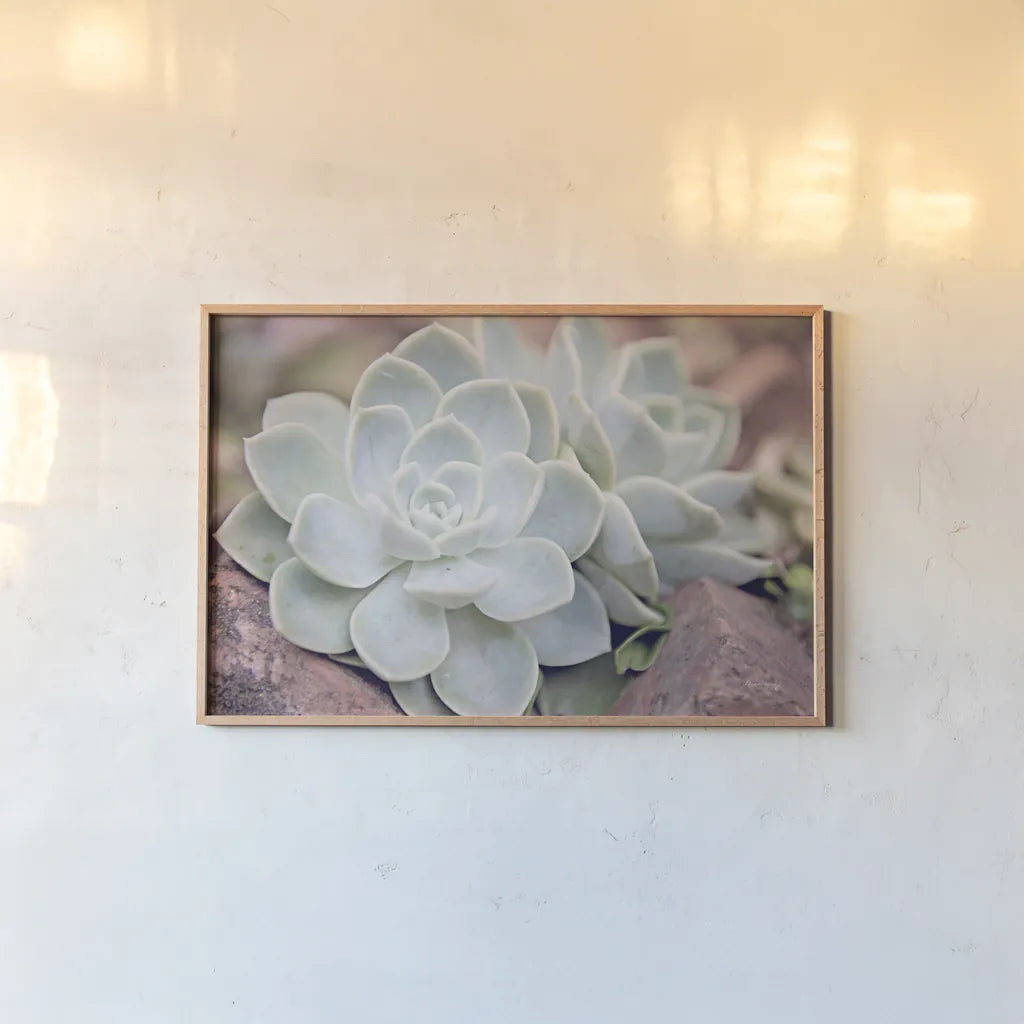 Rock Roses by Sharon Vardy. shown as a paper print in a natural frame. Available as a archival giclee rolled canvas, fine art paper, or poster print. SKU 93130i.
