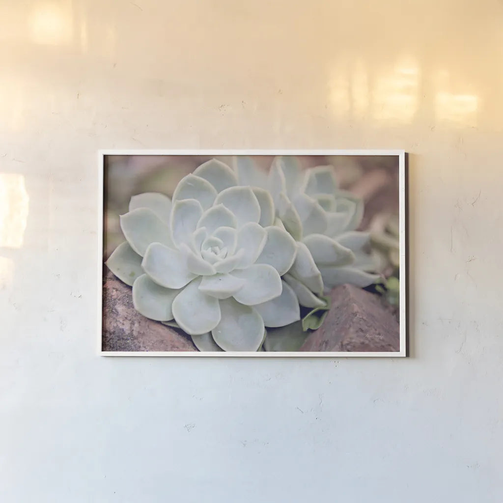 Rock Roses by Sharon Vardy. shown as a paper print in a white frame. Available as a archival giclee rolled canvas, fine art paper, or poster print. SKU 93130i.