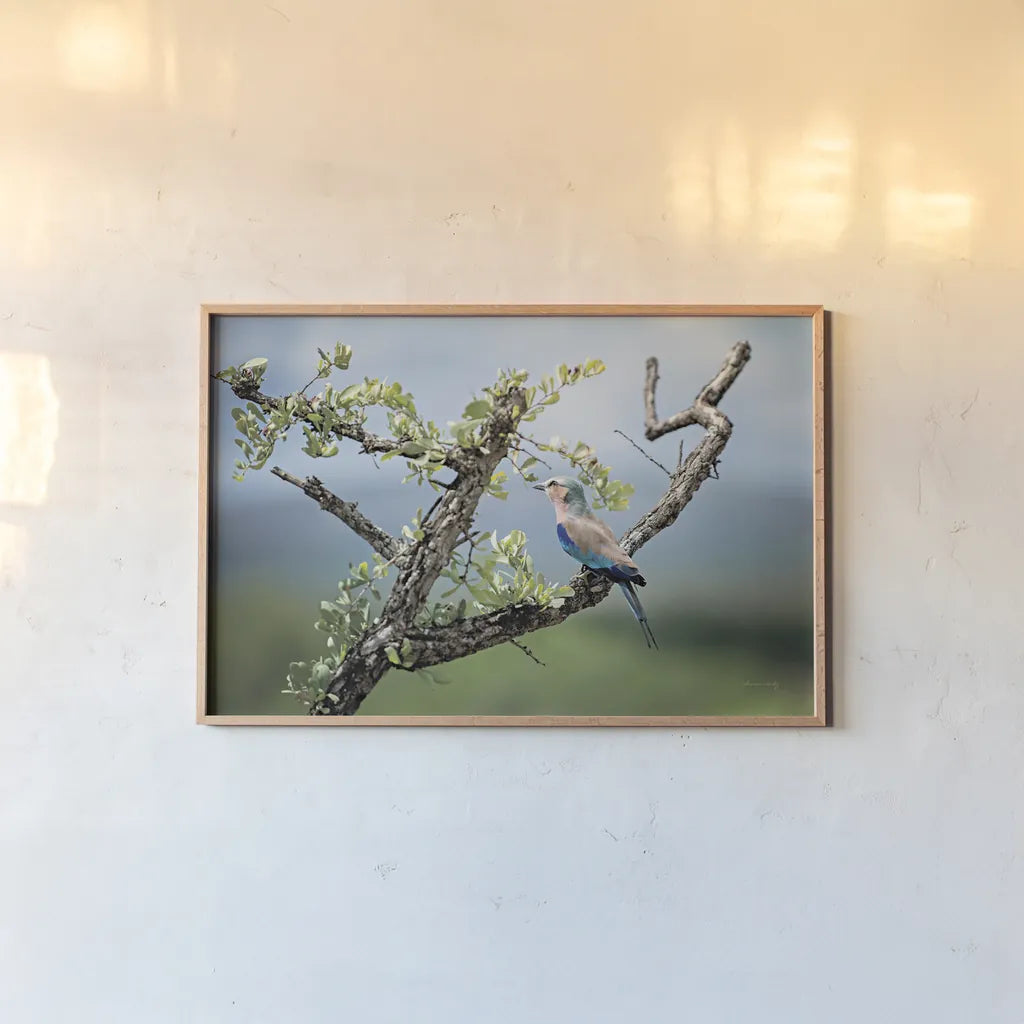 Roller by Sharon Vardy. shown as a paper print in a natural frame. Available as a archival giclee rolled canvas, fine art paper, or poster print. SKU 92674i.