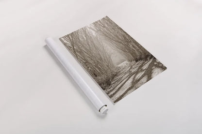 Tree Avenue by Sharon Vardy. shown as a rolled paper print. Available as archival giclee rolled canvas, fine art paper, or poster print. SKU 93132h.