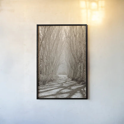 Tree Avenue by Sharon Vardy. shown as a paper print in a black flame. Available as a archival giclee rolled canvas, fine art paper, or poster print. SKU 93132h.