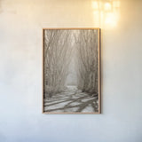 Tree Avenue by Sharon Vardy. shown as a paper print in a natural frame. Available as a archival giclee rolled canvas, fine art paper, or poster print. SKU 93132h.