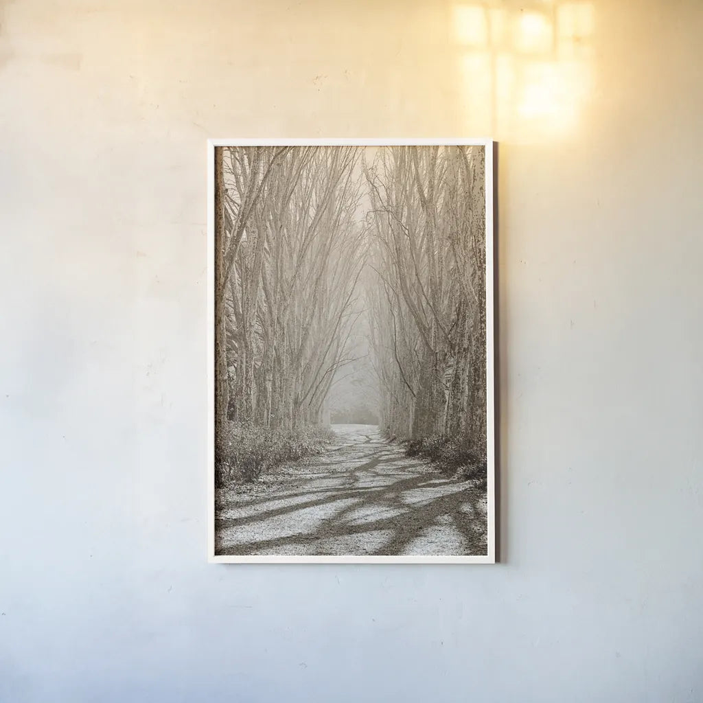 Tree Avenue by Sharon Vardy. shown as a paper print in a white frame. Available as a archival giclee rolled canvas, fine art paper, or poster print. SKU 93132h.