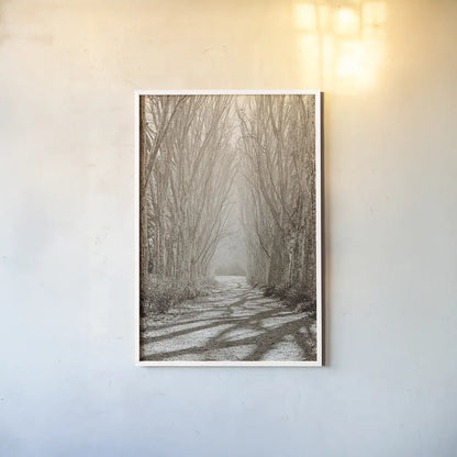 Tree Avenue by Sharon Vardy. shown as a paper print in a white frame. Available as a archival giclee rolled canvas, fine art paper, or poster print. SKU 93132h.