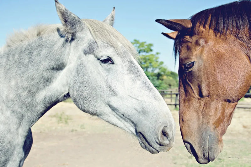 Two Horses by Sharon Vardy. SKU 92184i. Archival Giclee Fine art print for wall decor.