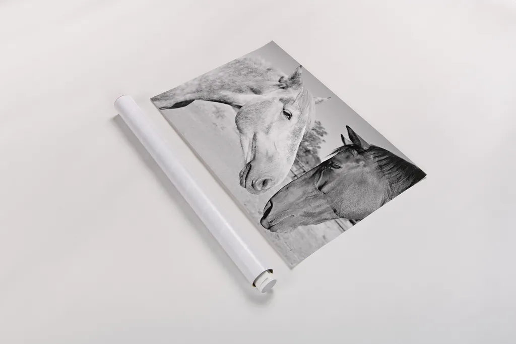 Two Horses BW by Sharon Vardy. shown as a rolled paper print. Available as archival giclee rolled canvas, fine art paper, or poster print. SKU 92185i.