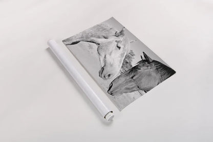 Two Horses BW by Sharon Vardy. shown as a rolled paper print. Available as archival giclee rolled canvas, fine art paper, or poster print. SKU 92185i.