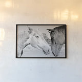 Two Horses BW by Sharon Vardy. shown as a paper print in a black flame. Available as a archival giclee rolled canvas, fine art paper, or poster print. SKU 92185i.