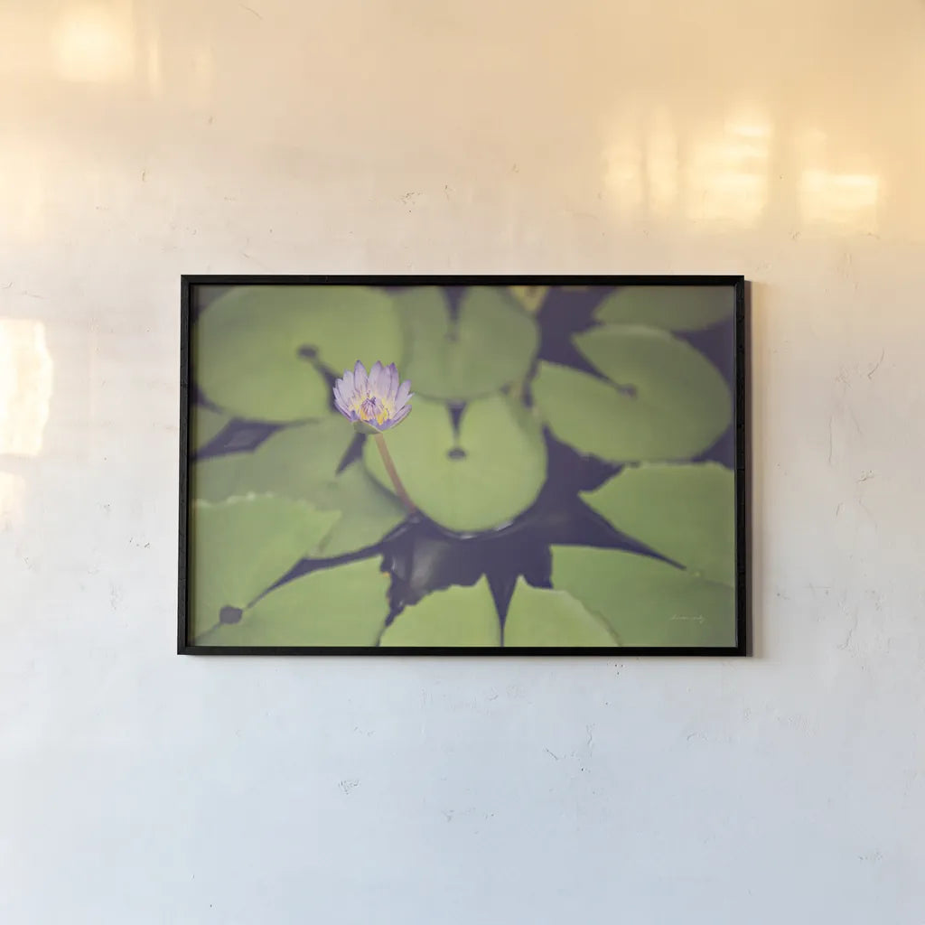 Water Lilies by Sharon Vardy. shown as a paper print in a black flame. Available as a archival giclee rolled canvas, fine art paper, or poster print. SKU 93131i.