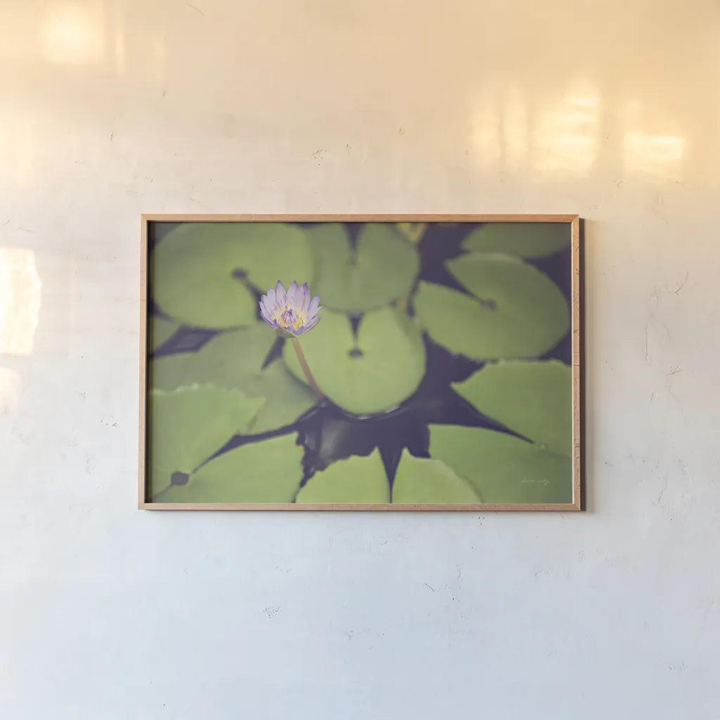 Water Lilies by Sharon Vardy. shown as a paper print in a natural frame. Available as a archival giclee rolled canvas, fine art paper, or poster print. SKU 93131i.