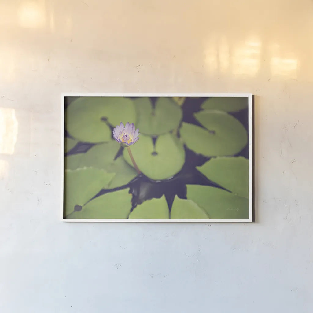 Water Lilies by Sharon Vardy. shown as a paper print in a white frame. Available as a archival giclee rolled canvas, fine art paper, or poster print. SKU 93131i.