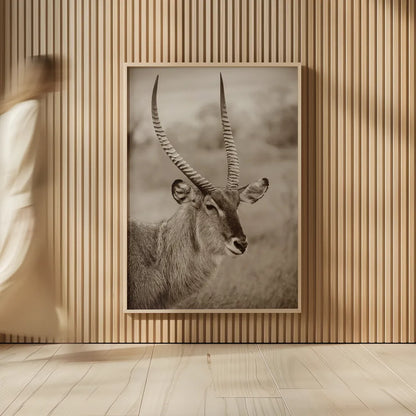 Waterbuck Portrait Sepia by Sharon Vardy. shown as over sized large wall art. Available as an archival giclee rolled canvas, fine art paper, or poster print. SKU 92221h.