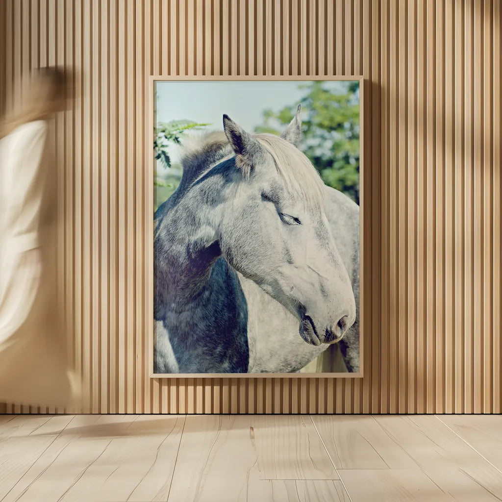 White Horse by Sharon Vardy. shown as over sized large wall art. Available as an archival giclee rolled canvas, fine art paper, or poster print. SKU 92188h.