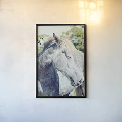 White Horse by Sharon Vardy. shown as a paper print in a black flame. Available as a archival giclee rolled canvas, fine art paper, or poster print. SKU 92188h.
