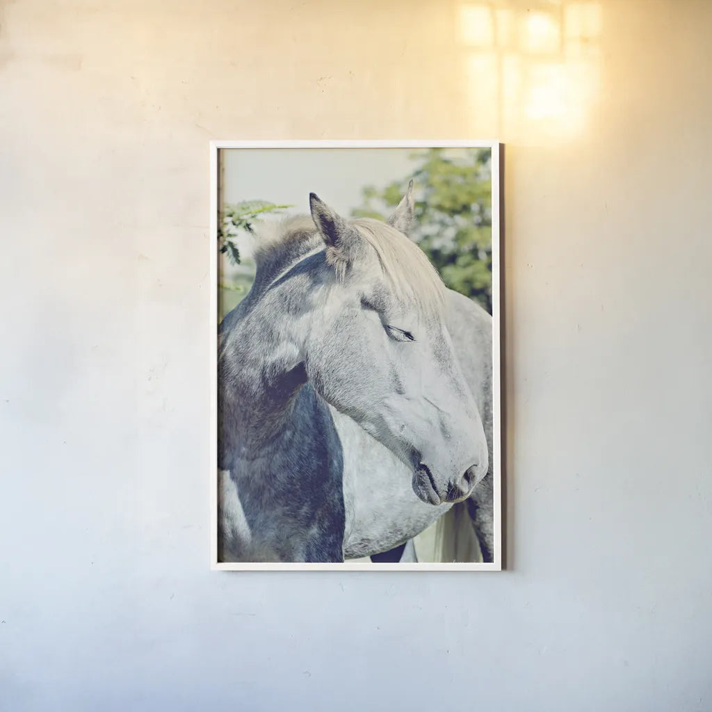 White Horse by Sharon Vardy. shown as a paper print in a white frame. Available as a archival giclee rolled canvas, fine art paper, or poster print. SKU 92188h.