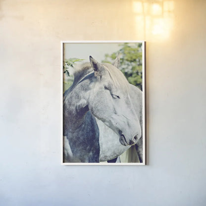 White Horse by Sharon Vardy. shown as a paper print in a white frame. Available as a archival giclee rolled canvas, fine art paper, or poster print. SKU 92188h.