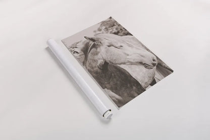 White Horse Sepia by Sharon Vardy. shown as a rolled paper print. Available as archival giclee rolled canvas, fine art paper, or poster print. SKU 92189h.